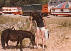 Lezardrieux, North Brittany, for a couple of days, waiting for rudder to be repaired after uncomfortable night hooked on spider crab pot, coming into port in dark. 1980. Margaret rode a llama round the ring of the visiting mini-circus.