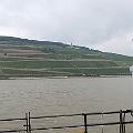 20140730_124908.jpg