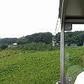 20140730_140329.jpg