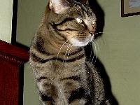 Benvolio on banister