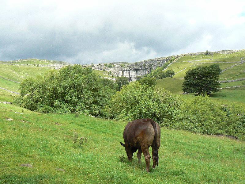 malham-cove-approach-1219a-100708.jpg - Malham cove walk 12.19, 10 July 2008