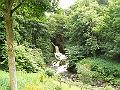 clapham-nature-trail-1240-090708