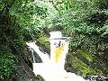 ingleton-falls-1443-080708
