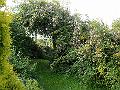prospect-house-garden-0822-120708