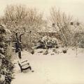 walton-snow-1-100285.jpg