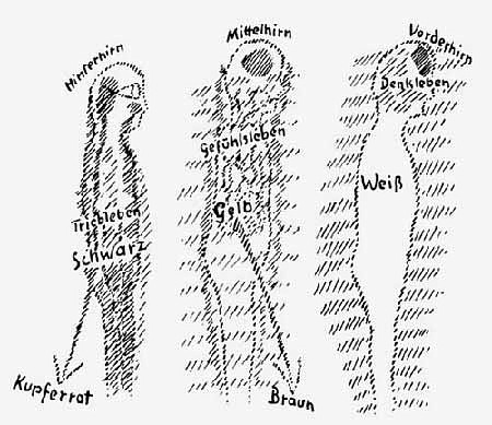 race types