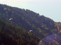 Paragliders from Blickpunkt Rochers de Naye 4 Oct 2009