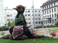 Topiary Monterux  Oct 2009